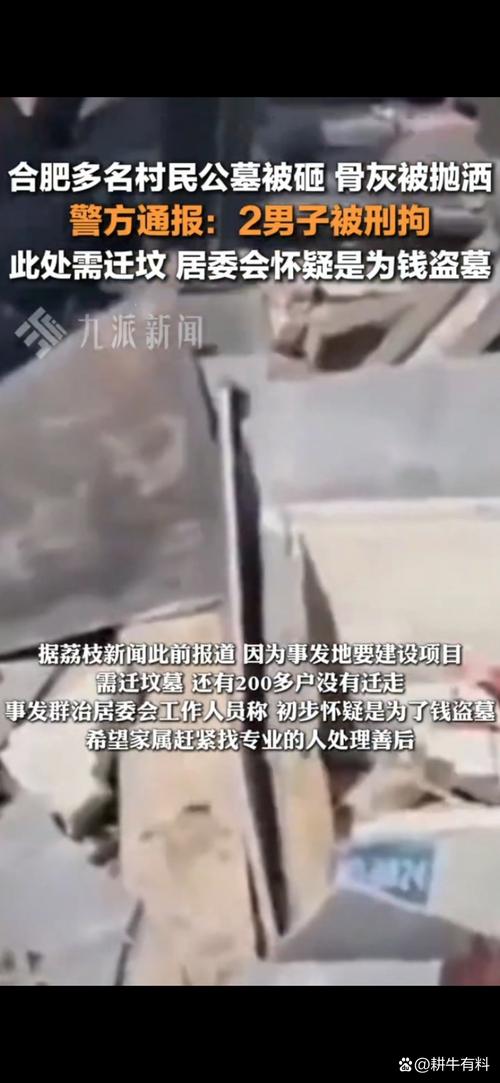 河南一公墓遭有组织冲击 3人被拘