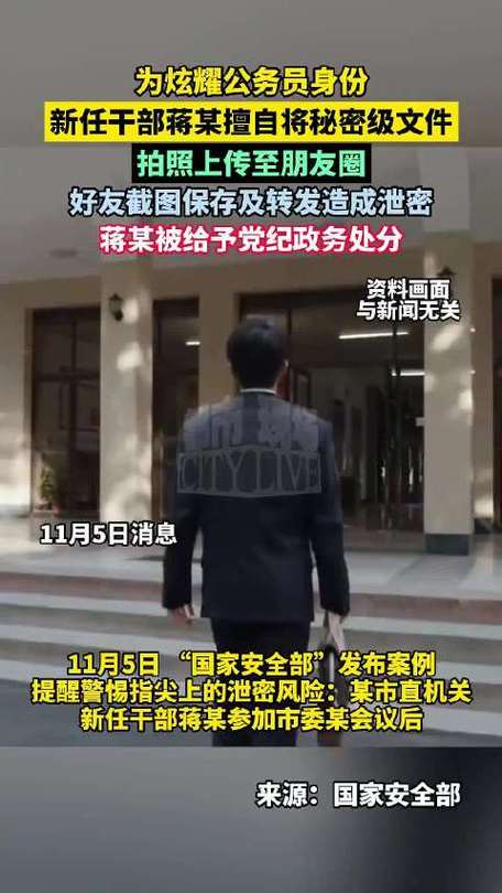 新任干部炫耀公务员身份遭处分，警示与反思