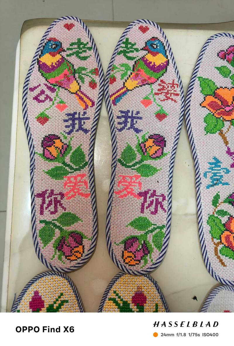单亲妈妈手脚残疾 用嘴绣鞋垫养家