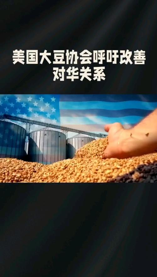 美大豆出口协会：中国市场无可替代