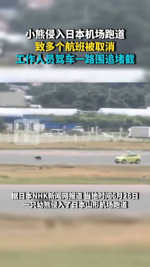 日本报纸配送员备爆竹防熊袭