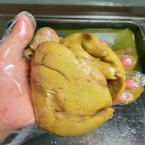 你吃到的鹅肝很可能是鸭肝