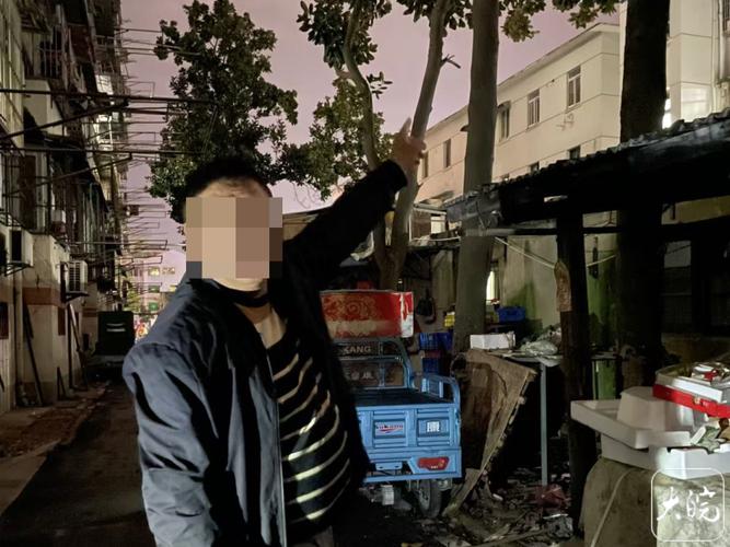 男子每天下班弹弓打鸟 涉刑事犯罪