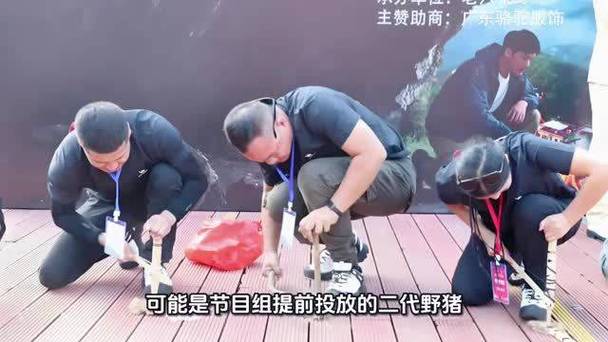 张家界求生者捕获野猪，美食盛宴至油流四溢
