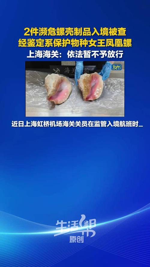海关数据库出故障 乌关闭出入境通道
