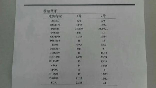 “全网最像夫妻”回应被建议测DNA