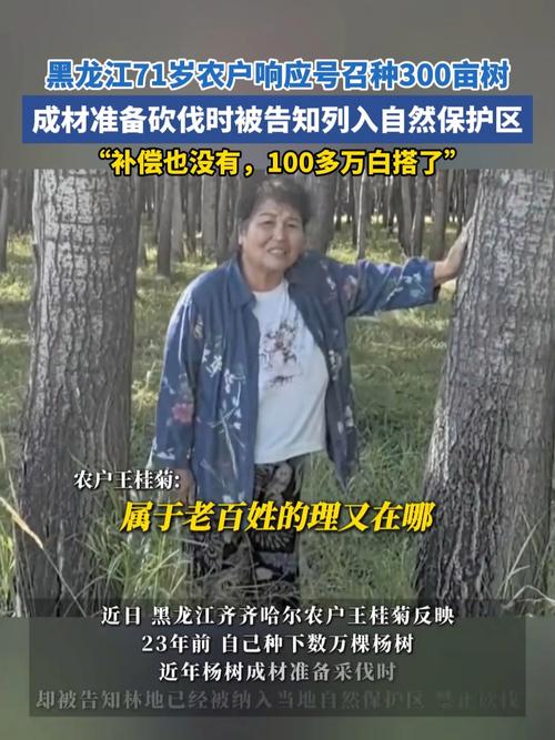 农户响应号召种树 成材后被禁止采伐