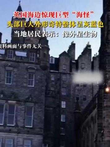 英国海边惊现巨型海怪现身