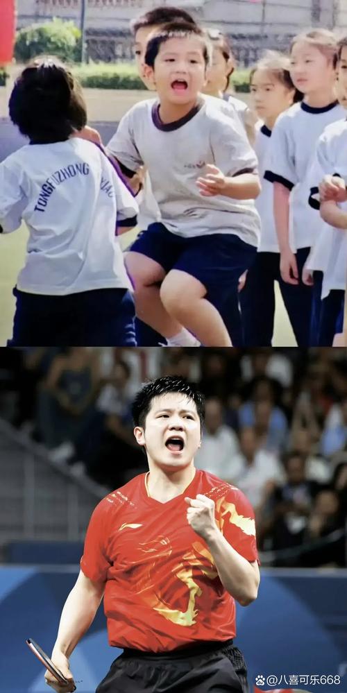 樊振东撞脸大湾鸡形象曝光