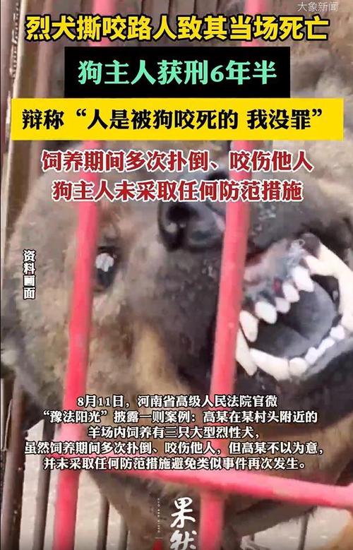 山西狗咬人引发血案案开庭审理