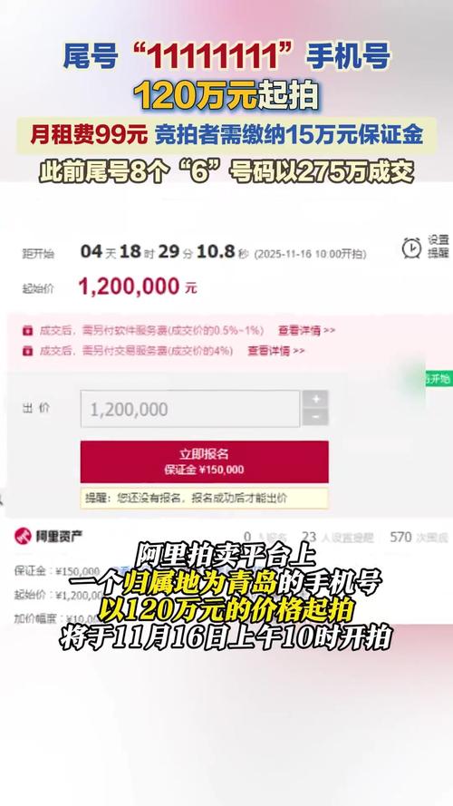 “1*11111111”手机号120万元起拍