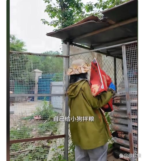 动物园鸵鸟翻垃圾桶 饲养员:纯好奇