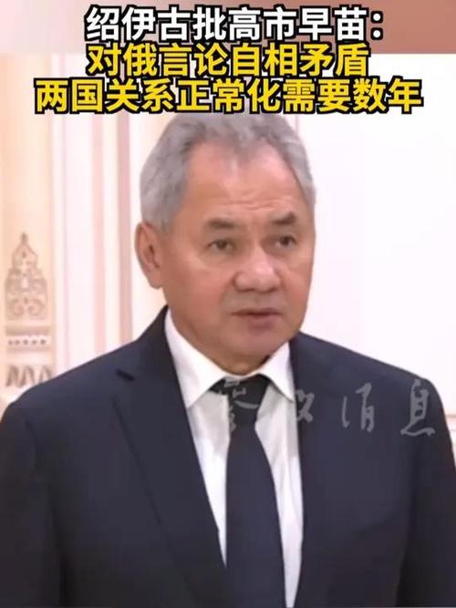绍伊古:俄日关系正常化或需数年时间