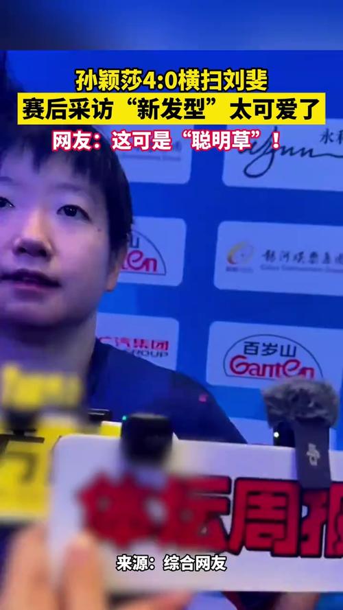 孙颖莎4-0横扫刘斐晋级4强