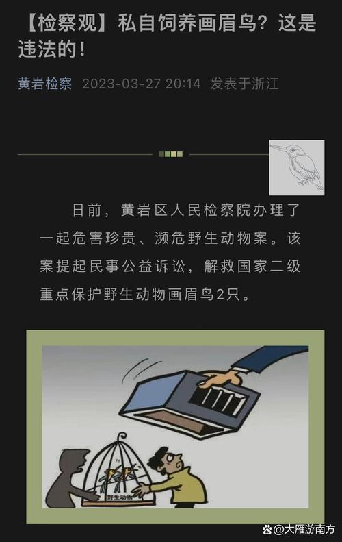 最高法提醒：这些鸟不能随意捕
