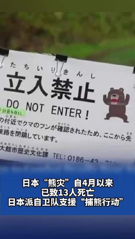 日本“熊灾”遇害人数创新高