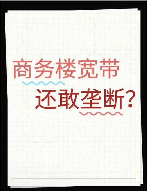 垄断宽带网络如何解决?