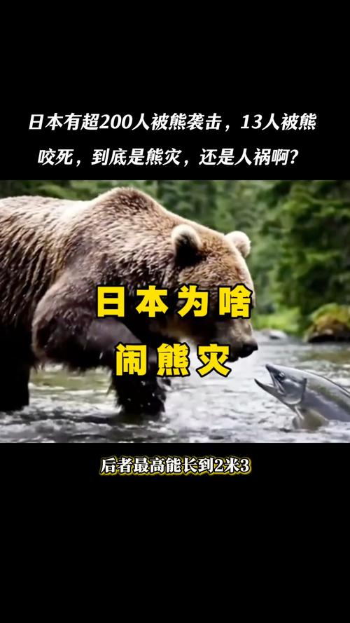 日本熊灾致害人数创新高