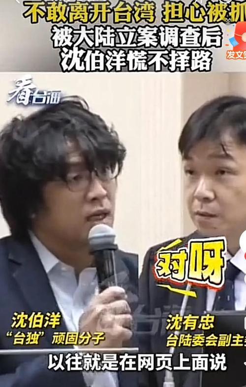 沈伯洋和民进党当局为何都慌了