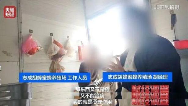 央视曝光6666元包教包会养杀人蜂