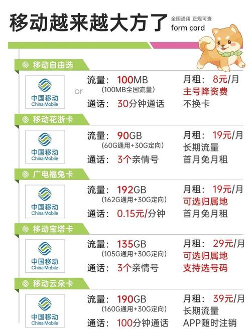 仅上网的电话卡套餐有哪些?