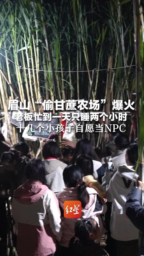 村里小孩自愿扮演偷甘蔗农场NPC角色进行抓人游戏