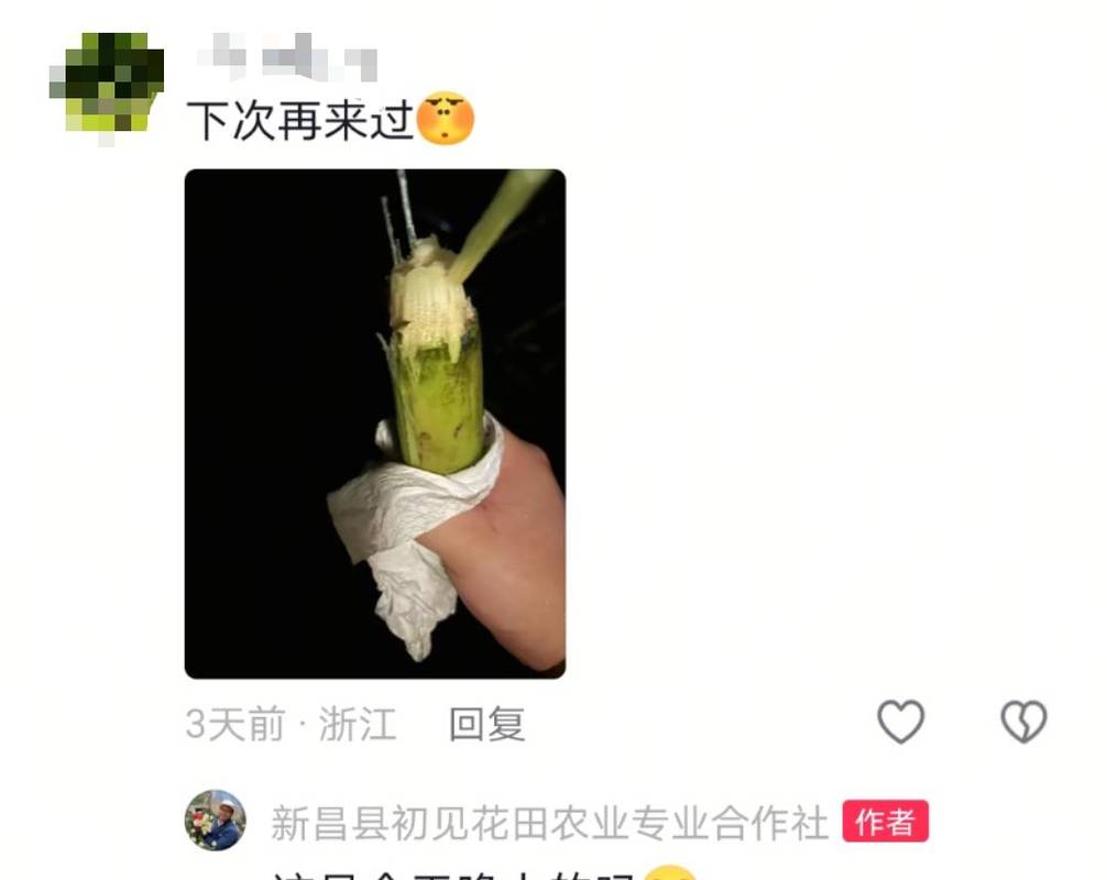 自助偷甘蔗农场爆火后老板真没招了