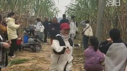 村里小孩自愿当偷甘蔗农场NPC抓人