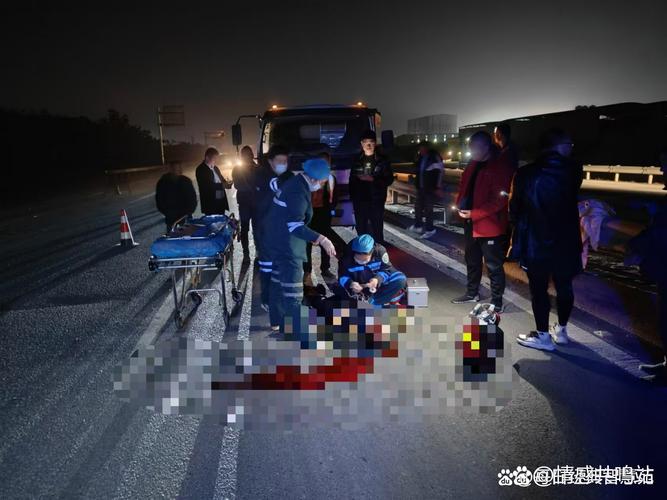 东京车辆冲撞行人致11人死伤